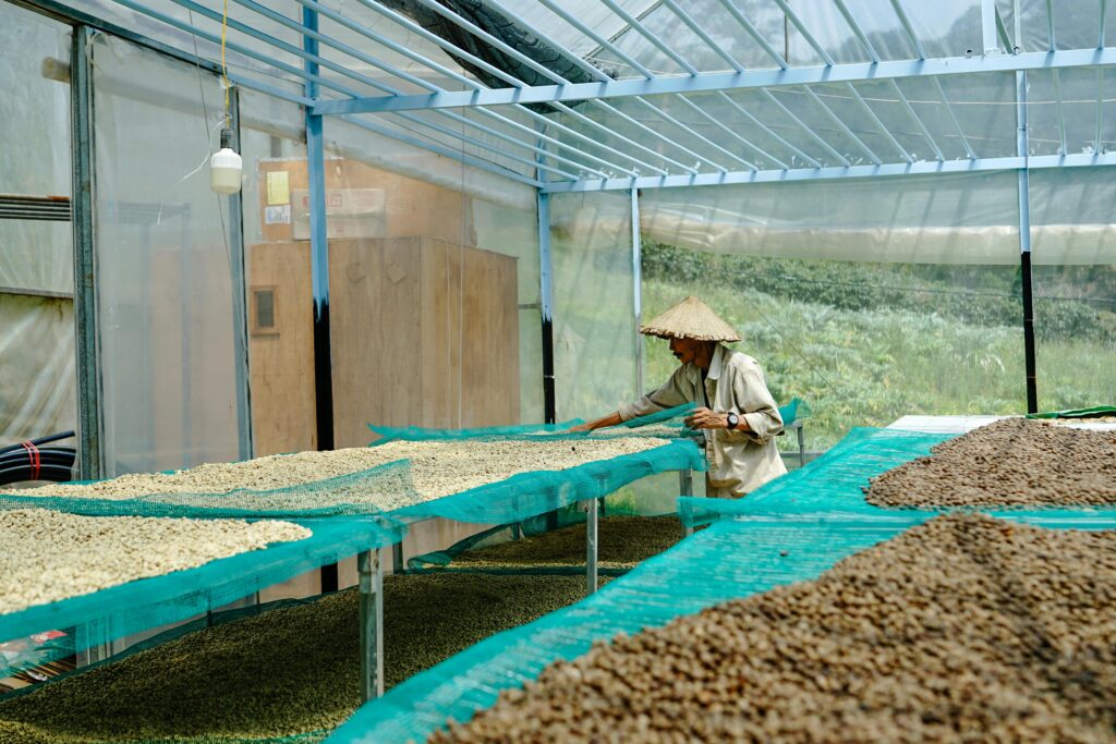 best coffee shop in hyderabad coffee beans selection friends coffee bar